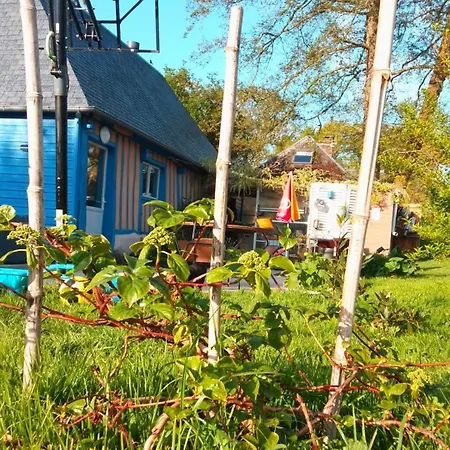 Campsite Camp Yonole Drosay